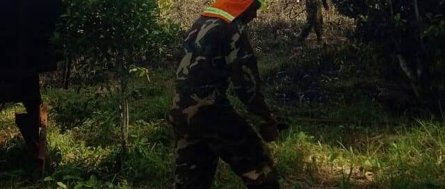 PUERTO LEONI: Un incendio arrasó dos hectáreas de malezas y yerba mate en paraje La Colmena