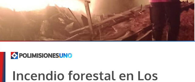 Incendio forestal en Los Helechos: bomberos controlaron un foco ígneo en Paraje La Línea