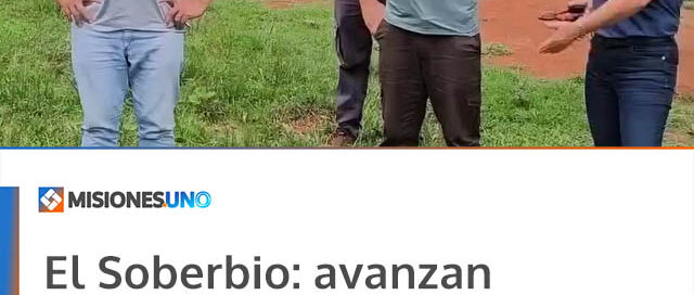 El Soberbio: avanzan trabajos de recambio de postes sobre la Ruta 13 y zona de Bananera